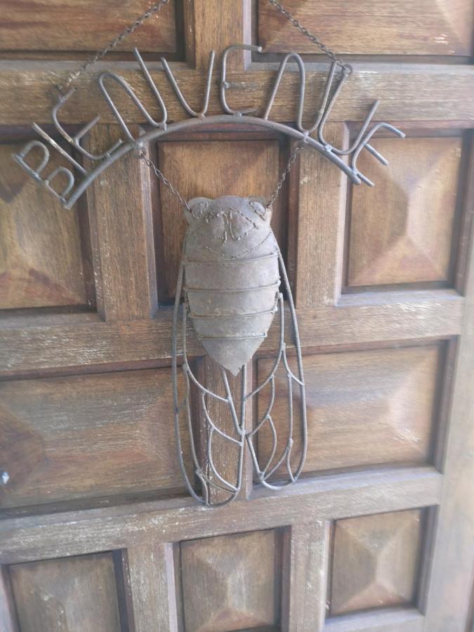 Chambre D'Hote Saint Remy Aramon Exterior photo